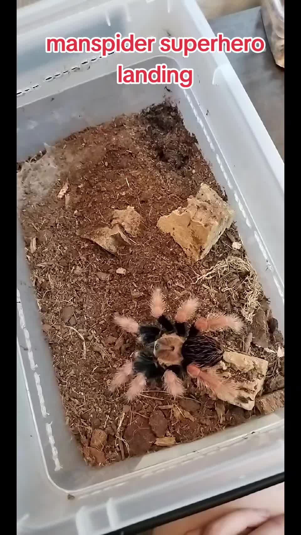 @Bestiesbeasties
