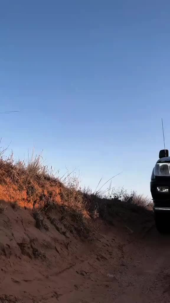 @عبدالله الأبيض ✌️