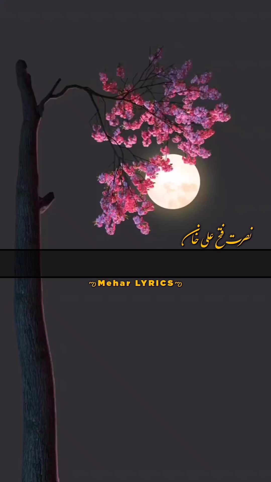 @ᴍᴇʜᴀʀ ʟʏʀɪᴄᴇ✔︎