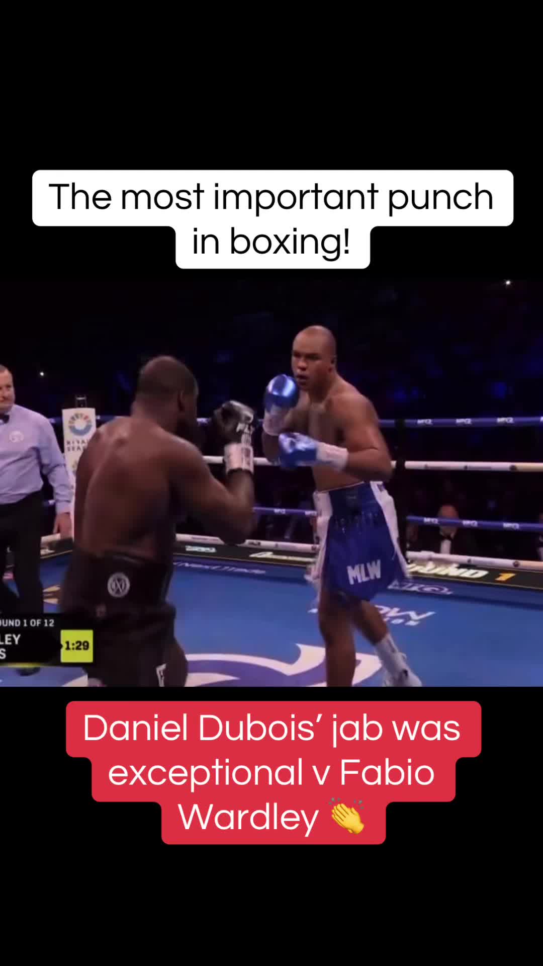 @Boxing SB