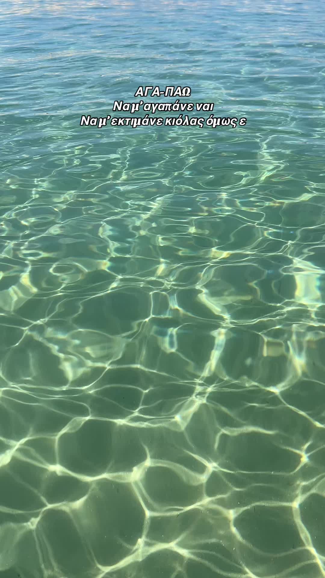 @444__🦁🦁