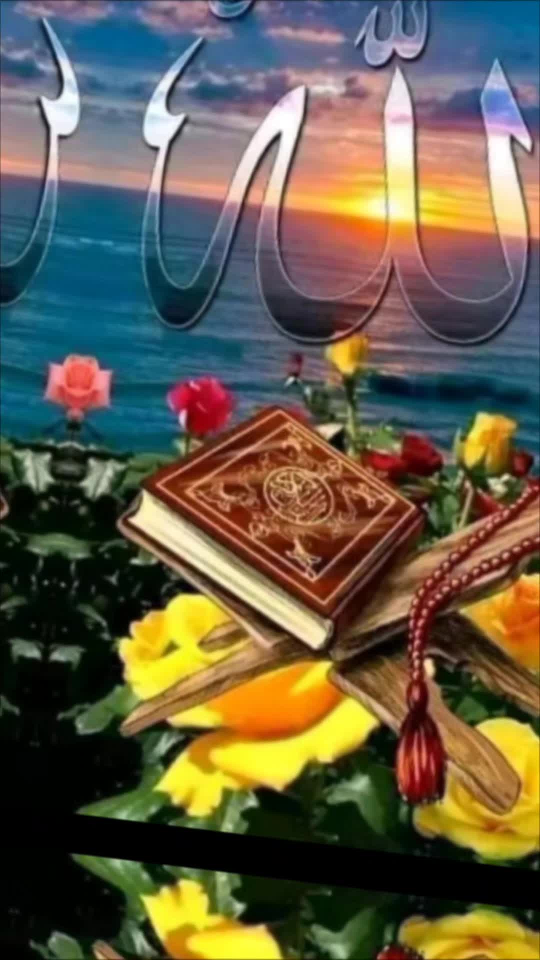 @amaan1949