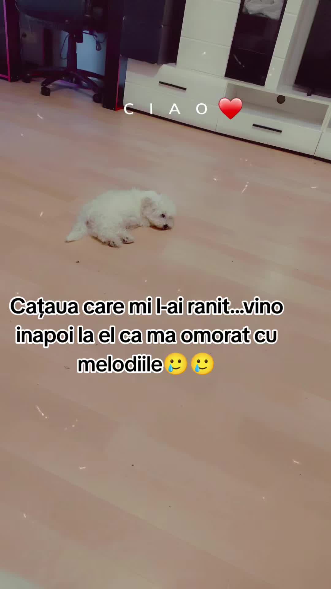 @[Mr] ᴋʀᴀᴢᴇ ᴏғᴄㅤ