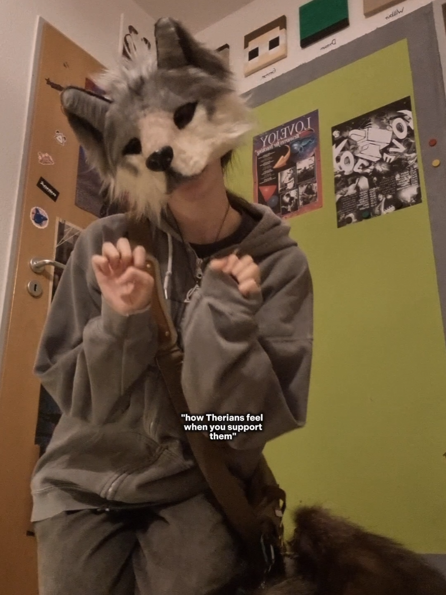 @☆sillydog☆