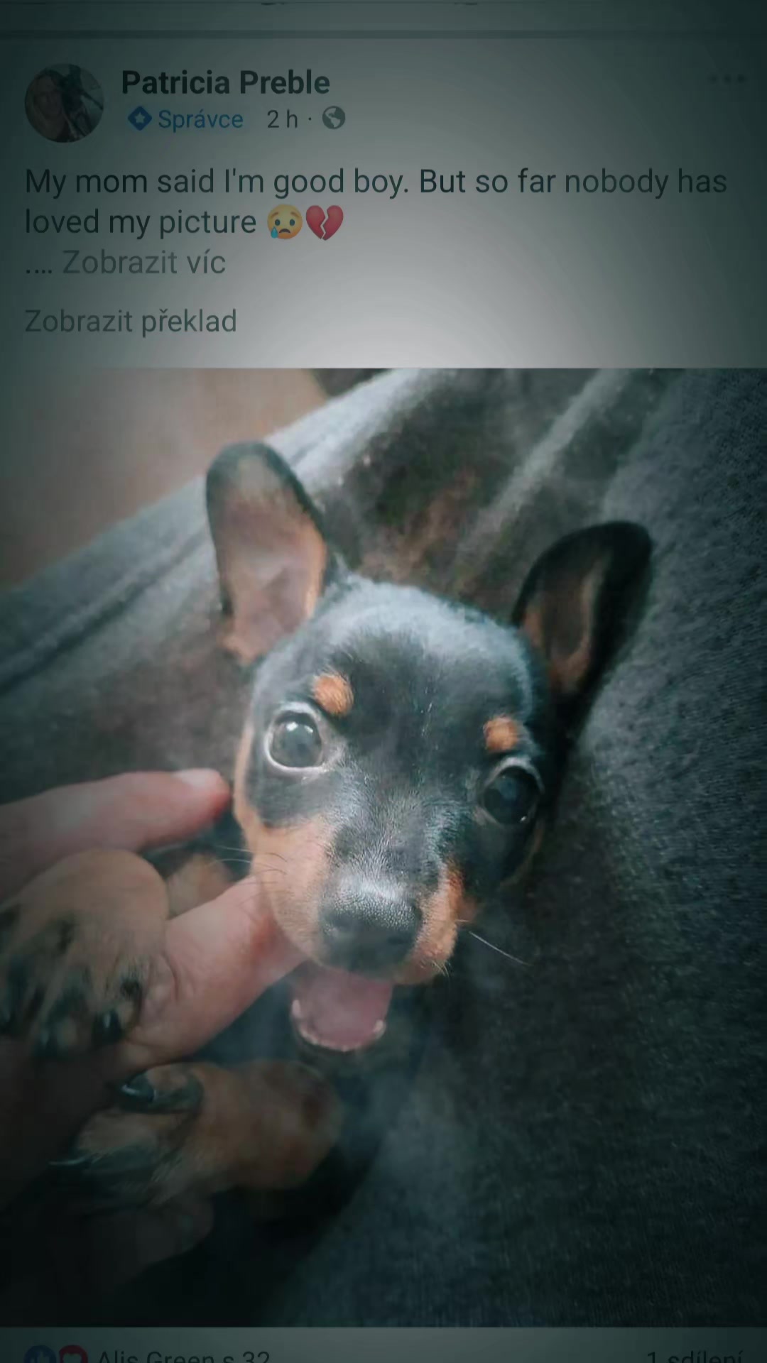 @❤️👑🌸JSEM UROZENÁ💪🦾🌸🦞