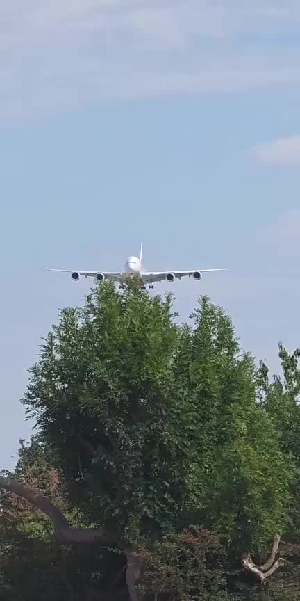 @Aviation Dan