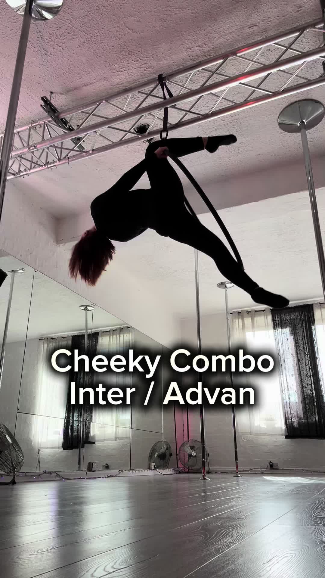 @MichelleT AerialHoop