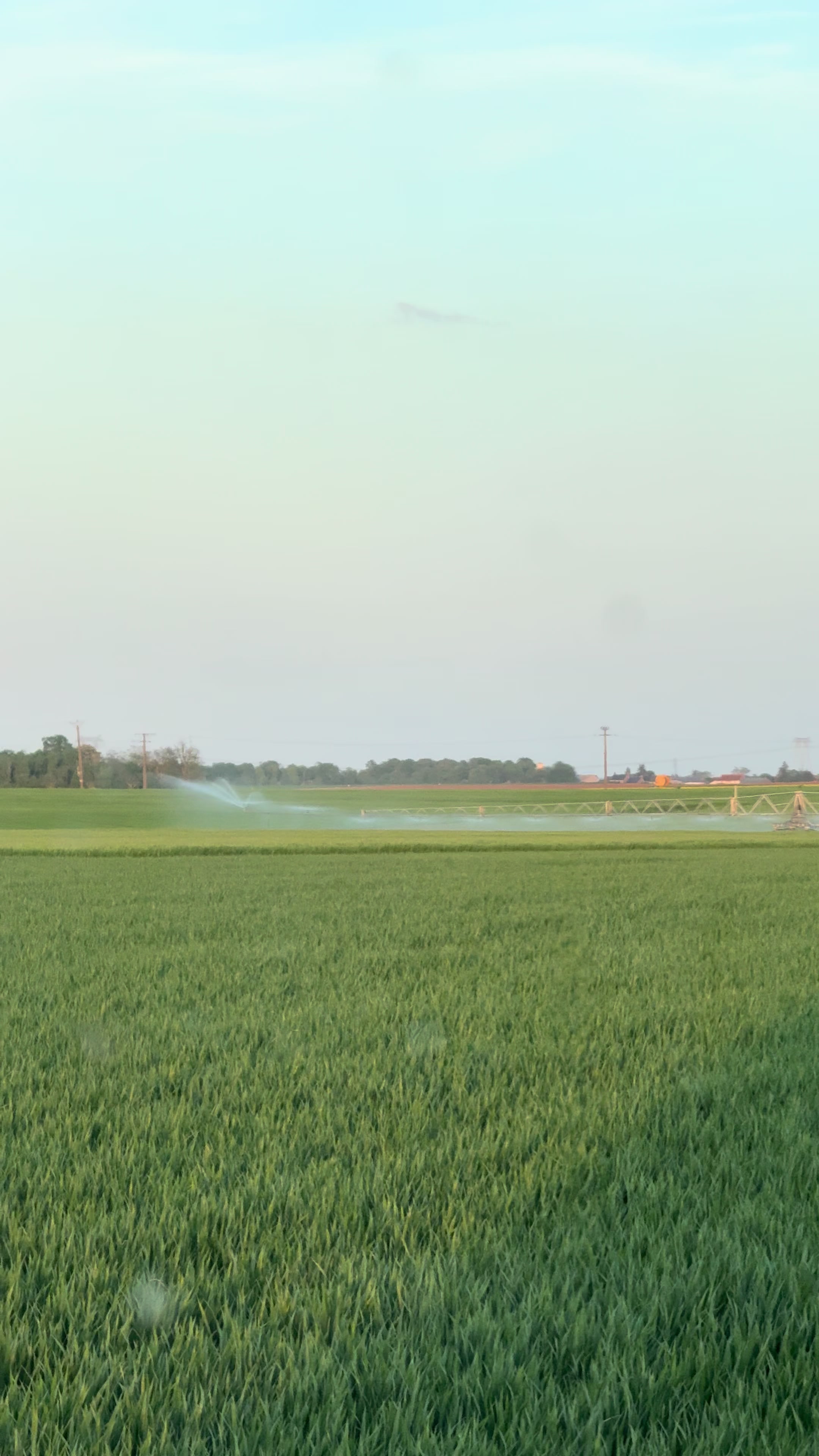 @Agri PB 41