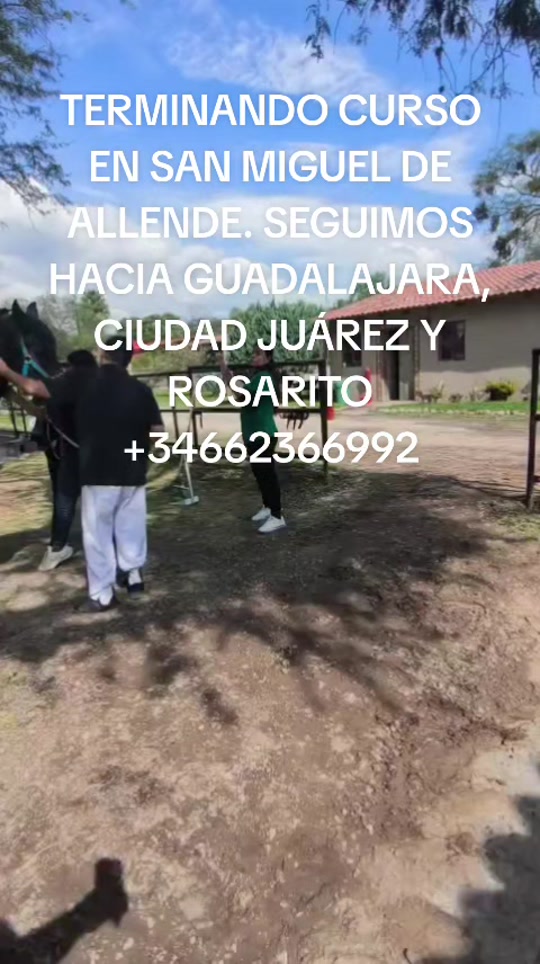 @centrointegralchakra