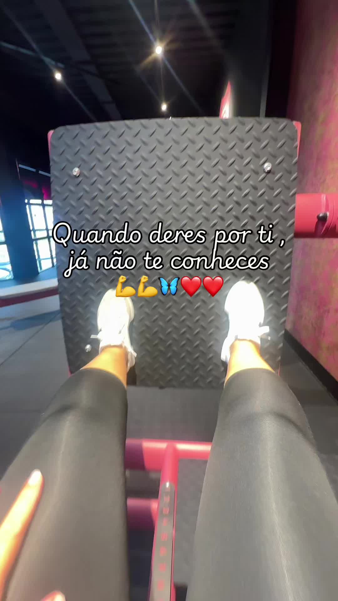 @Sofia Inácio
