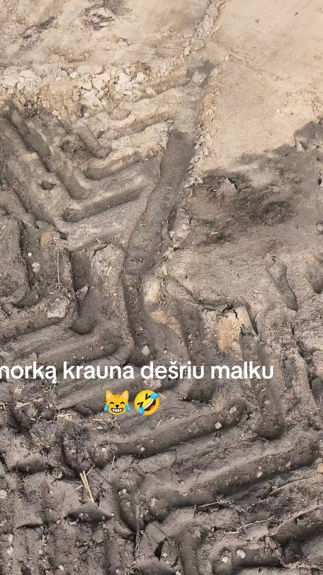 @👻🦊 Lapino &Scaron;mėkla 🦊👻