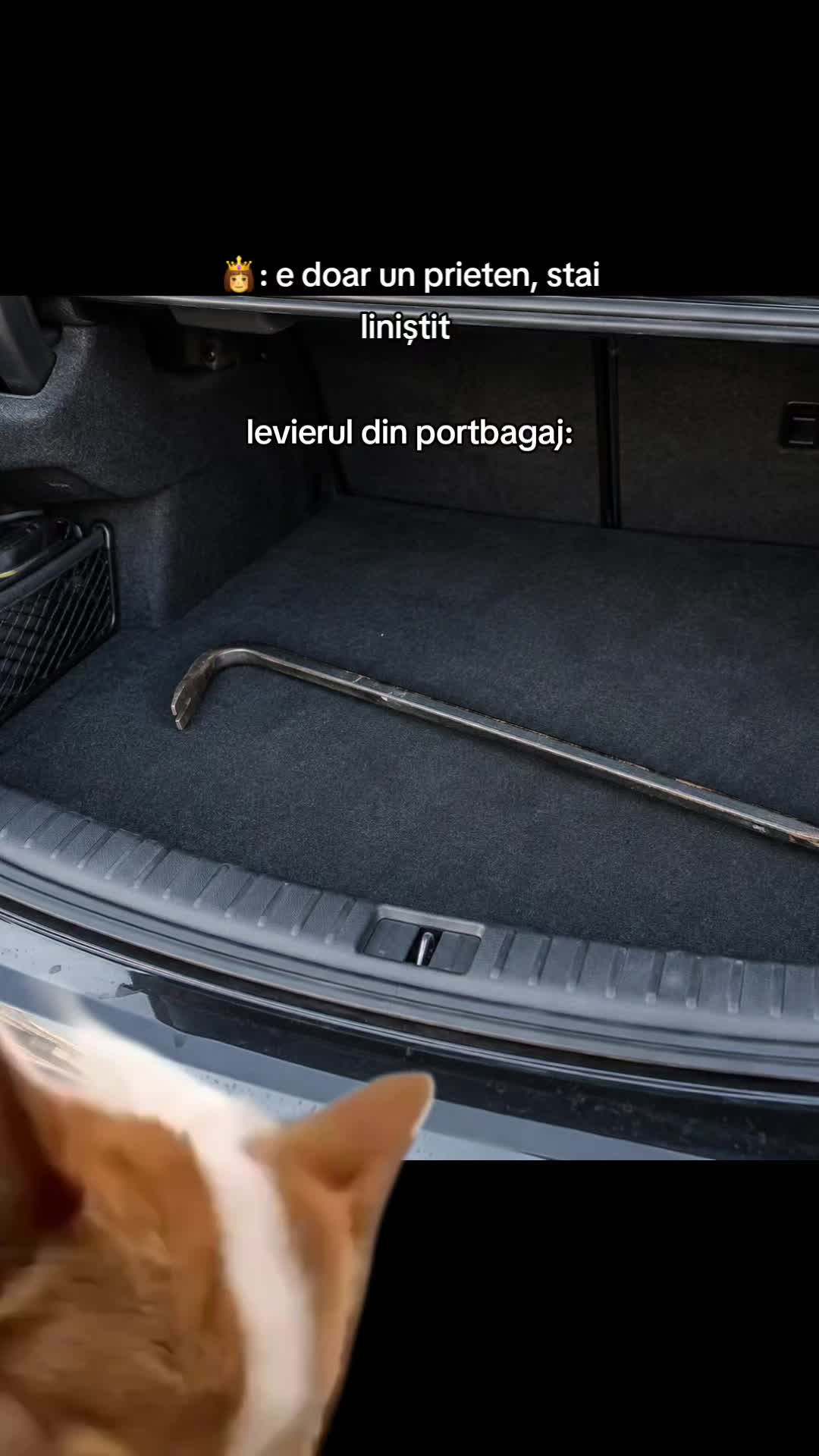 @Roman