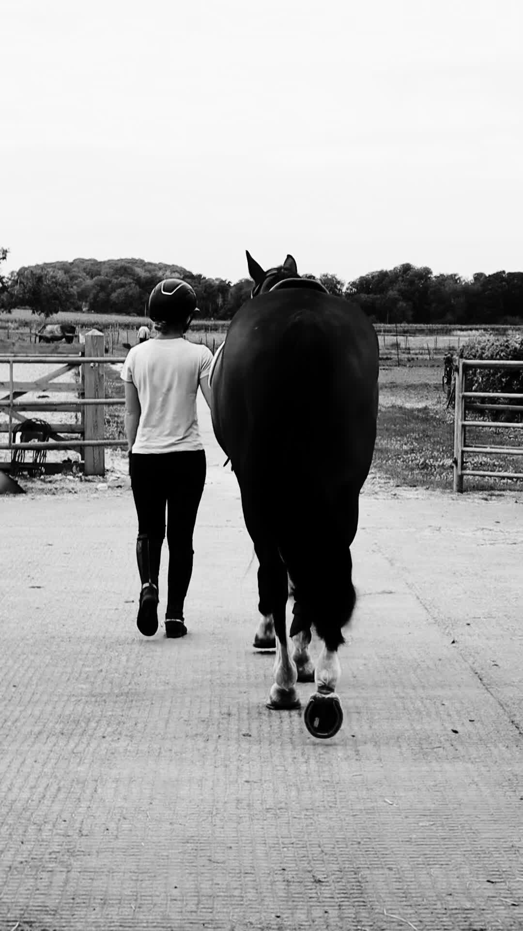 @cedequestrian