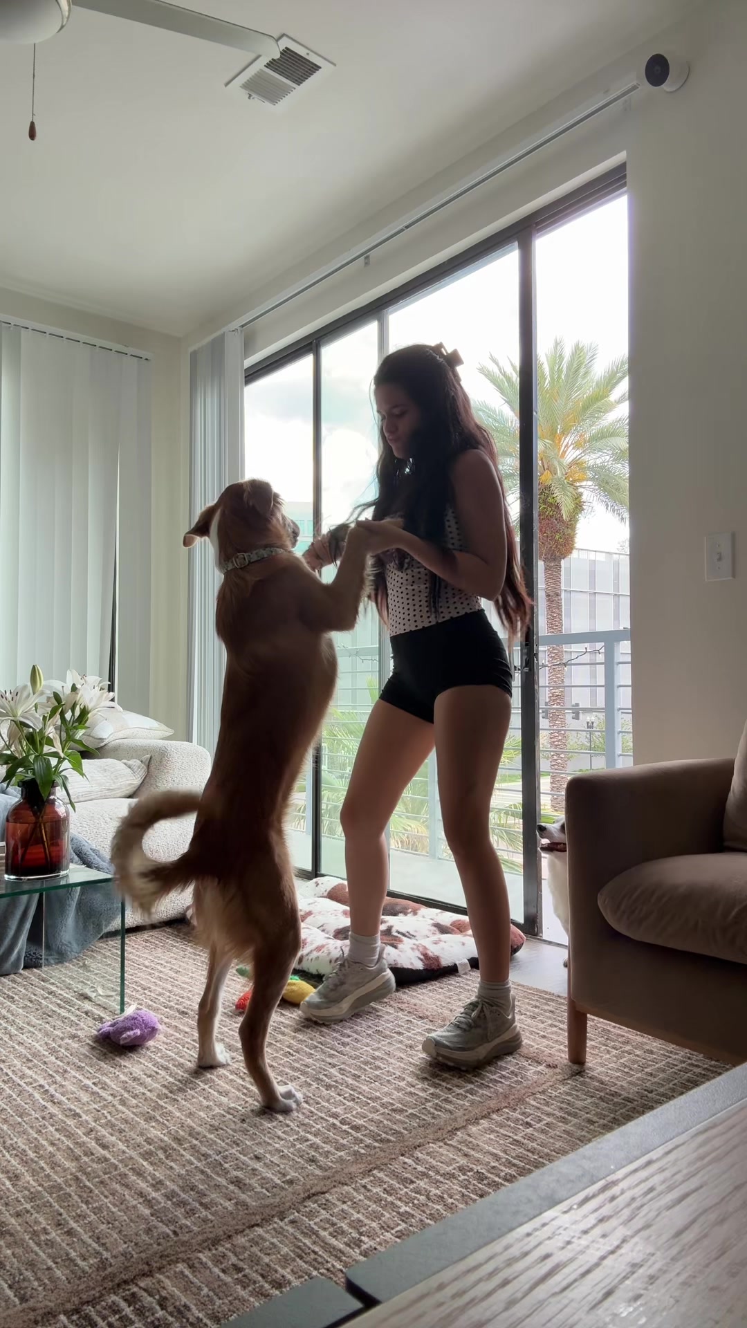 @alexa