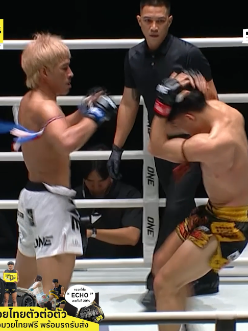 @Muay thai echo