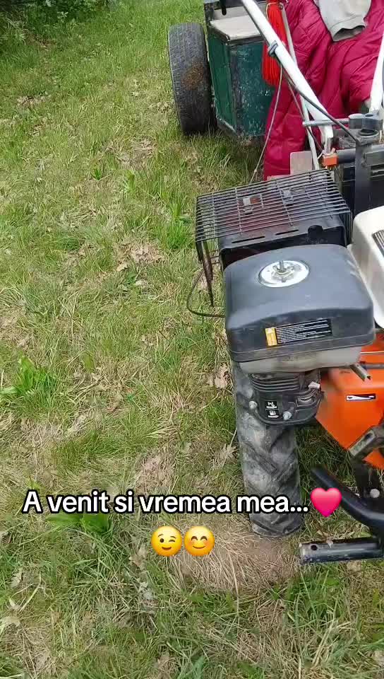 @flaviu.daniel🪽