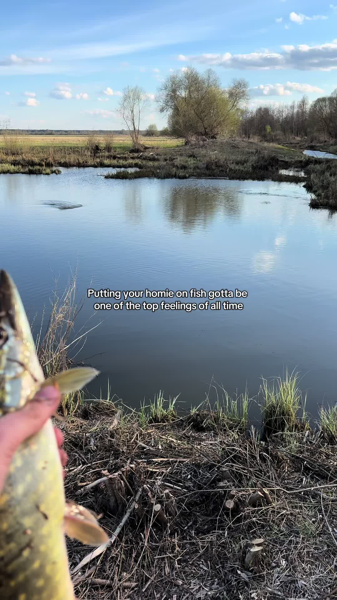 @Fishing With Alekss 🎣💎