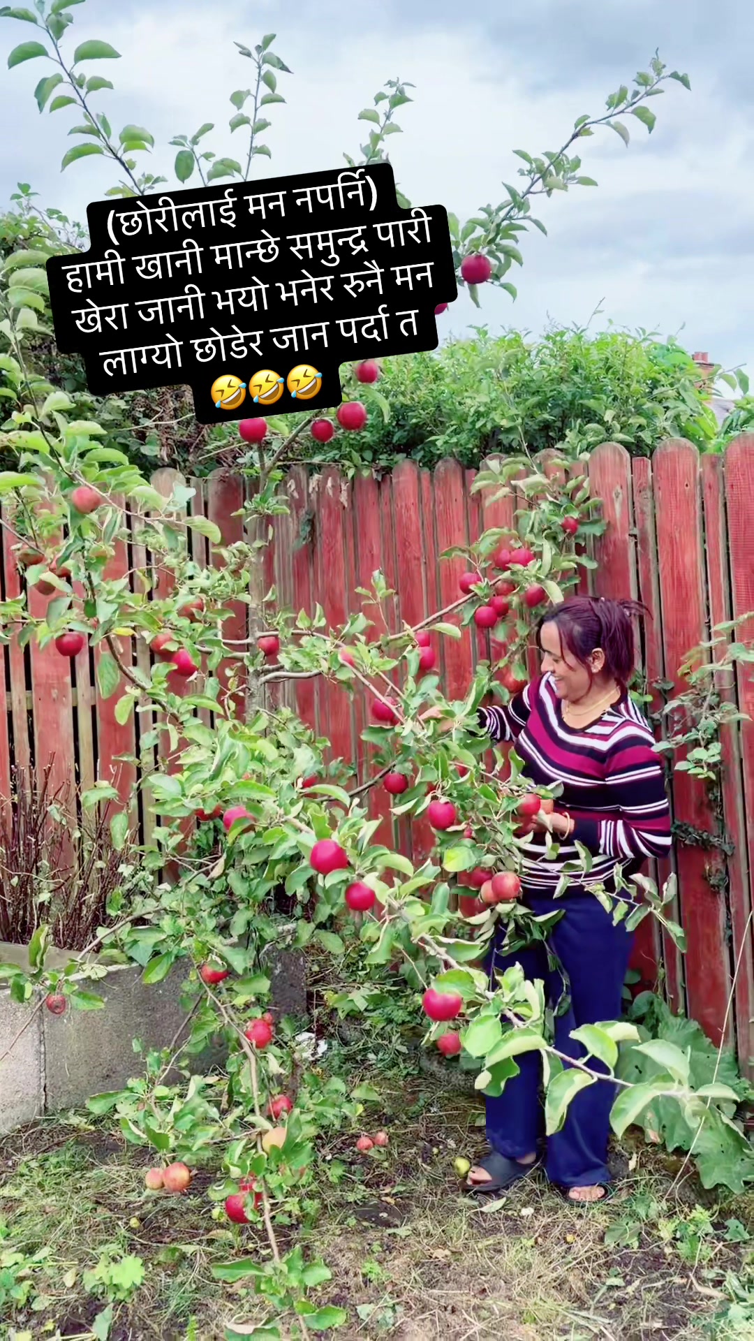 @SUMITRA SAPKOTA KANDEL