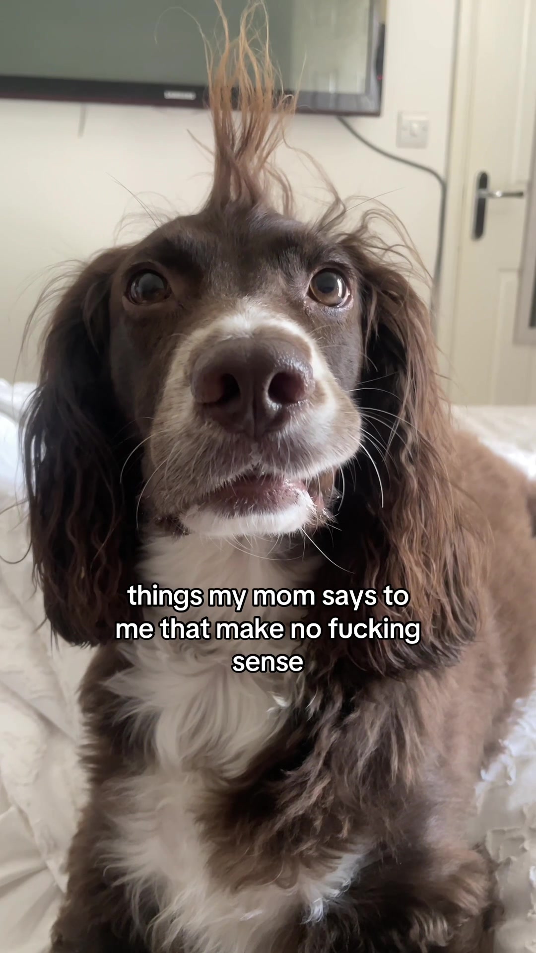 @Woody