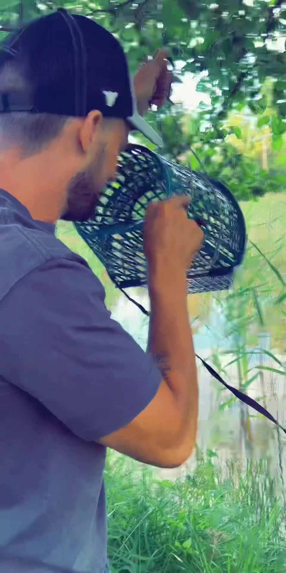 @Bassetheman