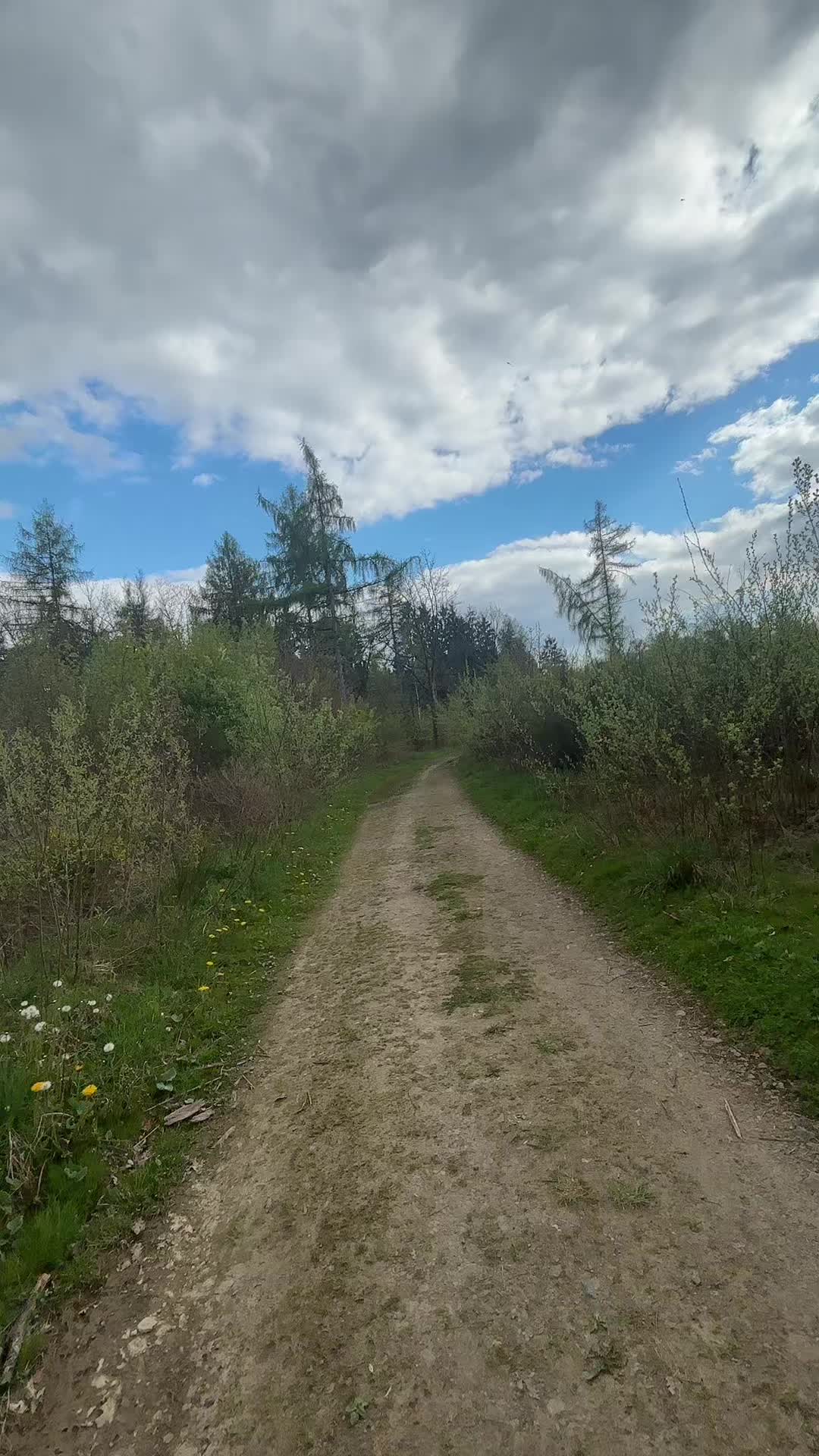 @Valentina 🎀🤙🏼🤙🏼