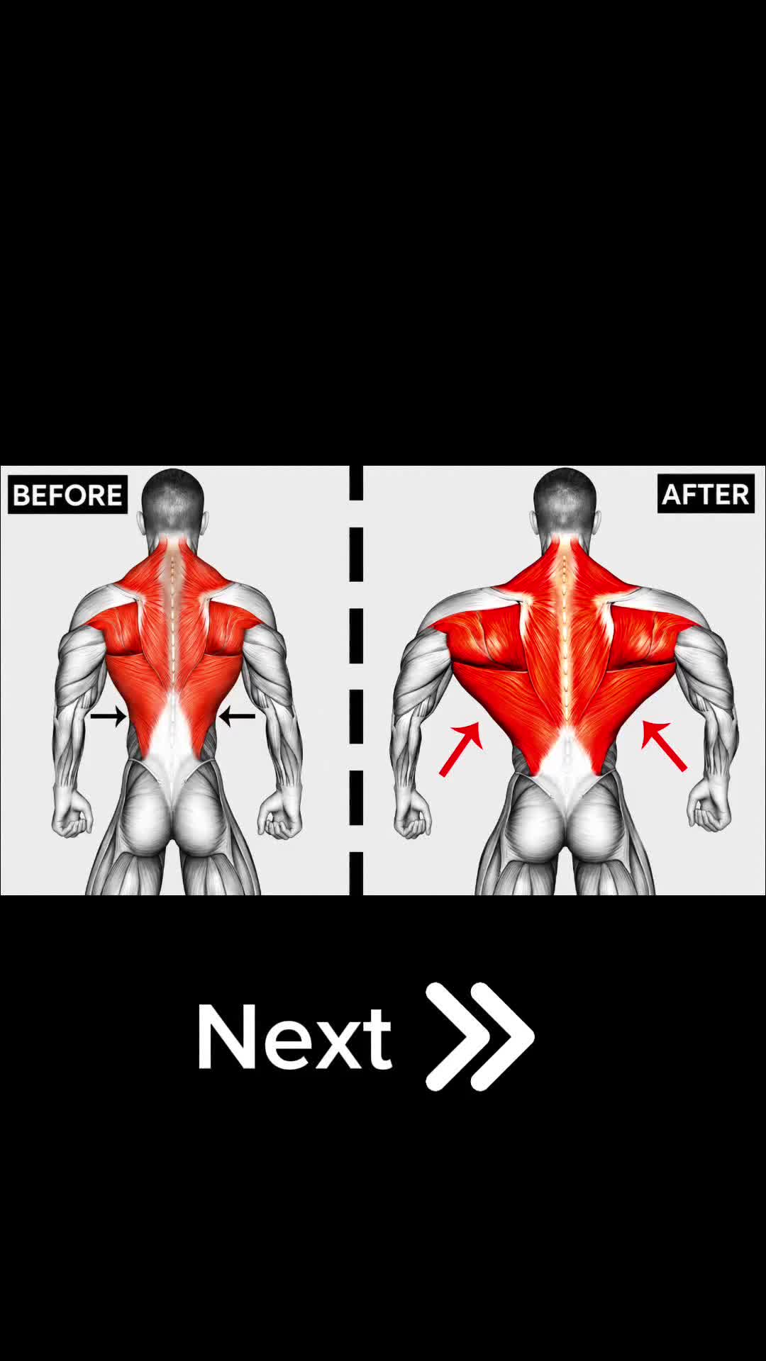 @Mendy Fitness