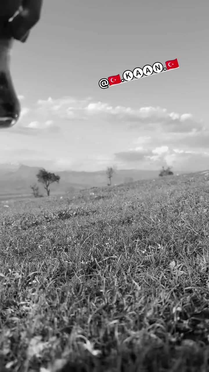 @🇹🇷.🅚︎🅐︎🅐︎🅝︎.🇹🇷