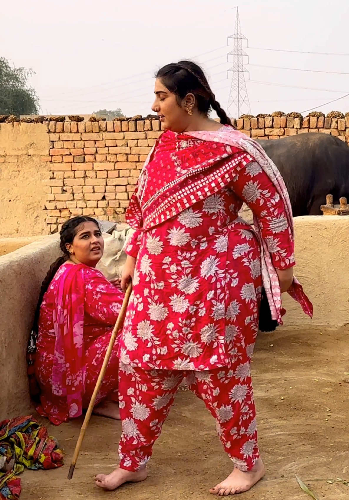 @Punjabi Bulbul Aliza Sehar