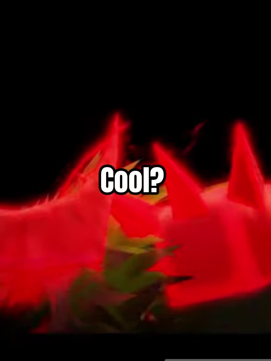 @s𝗍ᥲr