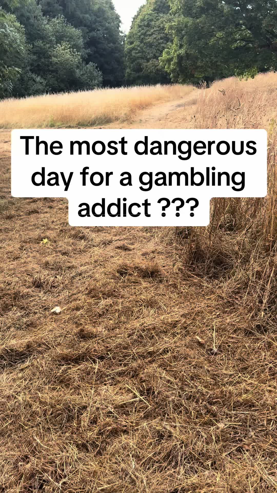 @thegamblefreelife