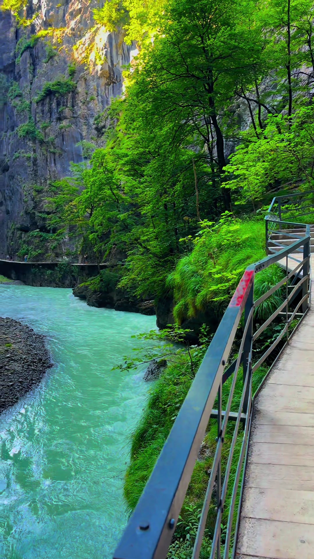 @Swiss_Vibe 🇨🇭