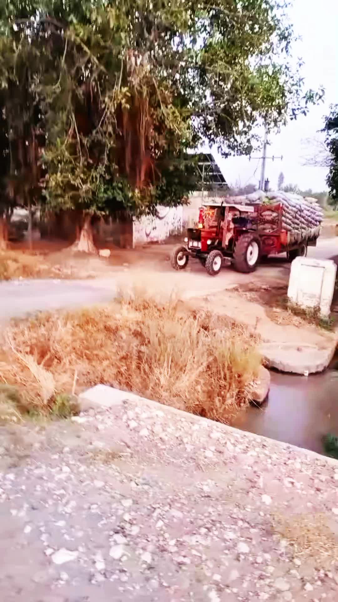@M.bakhshbijarala