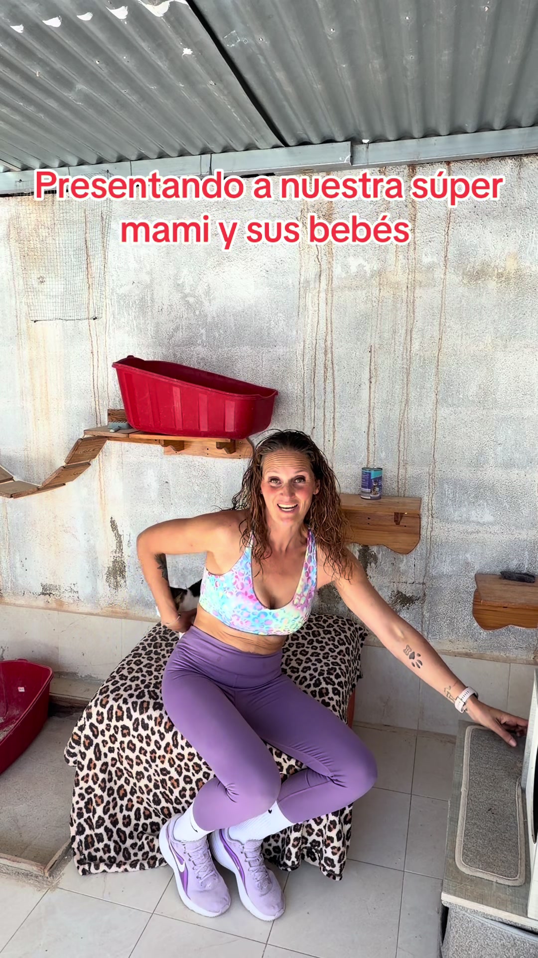 @aguiproan_protectora