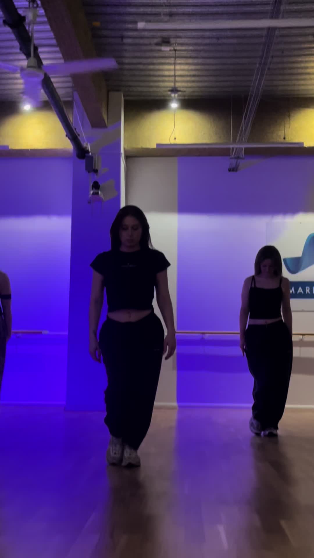@holswilddance