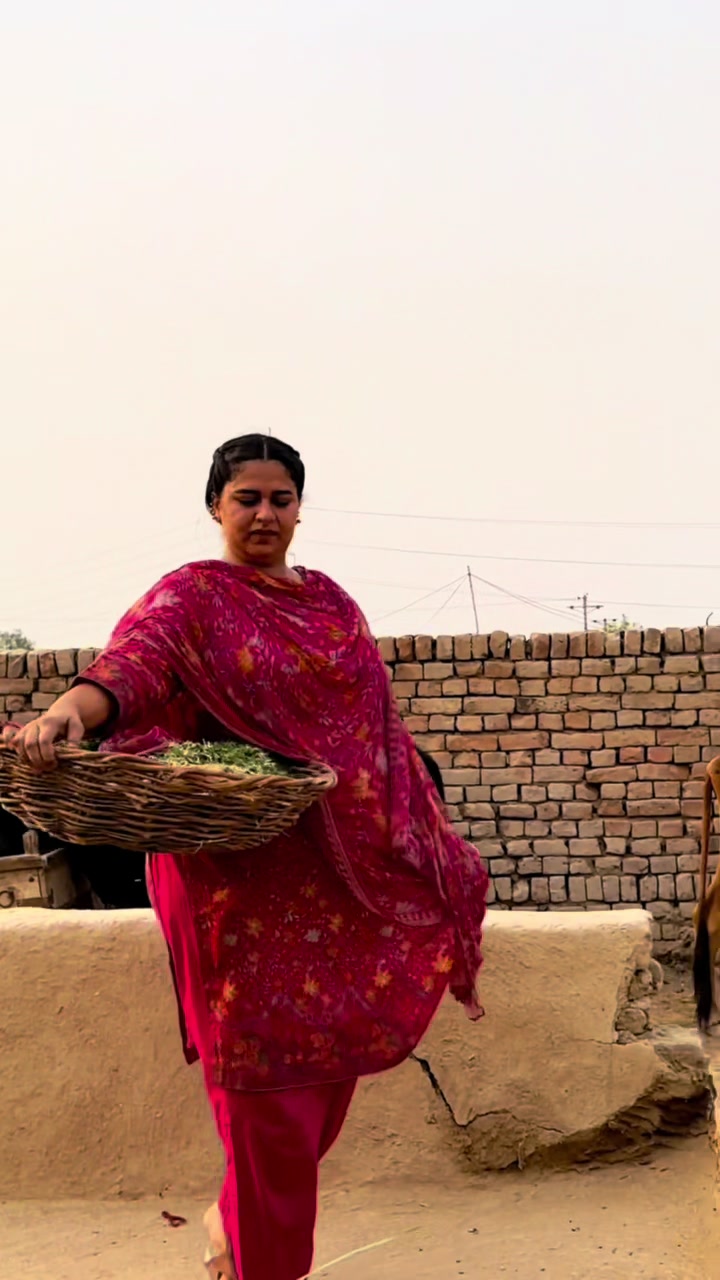 @Punjabi Bulbul Aliza Sehar