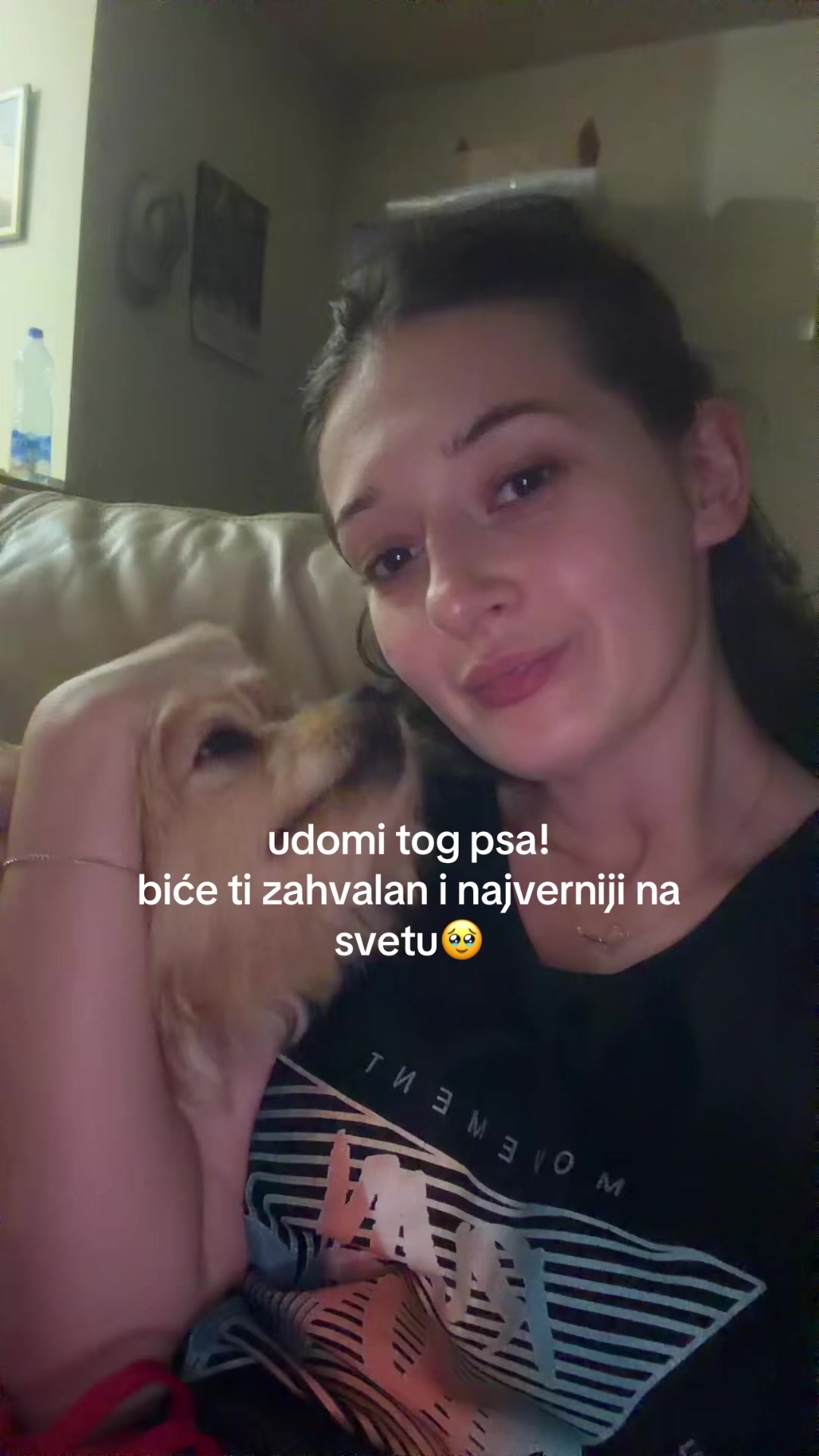 @Stefani