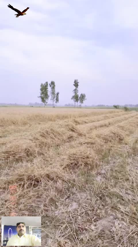 @Anjum.Rehman