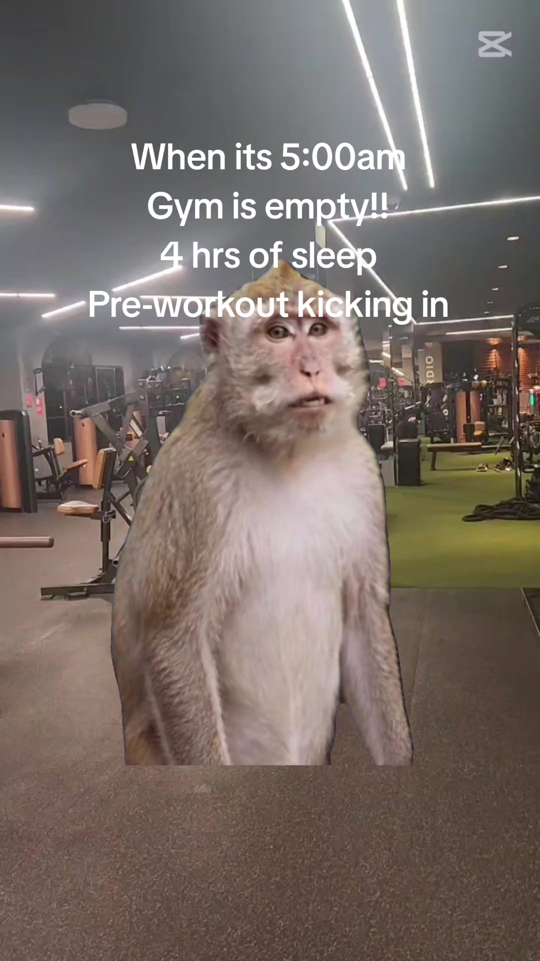 @The_Sheriff
