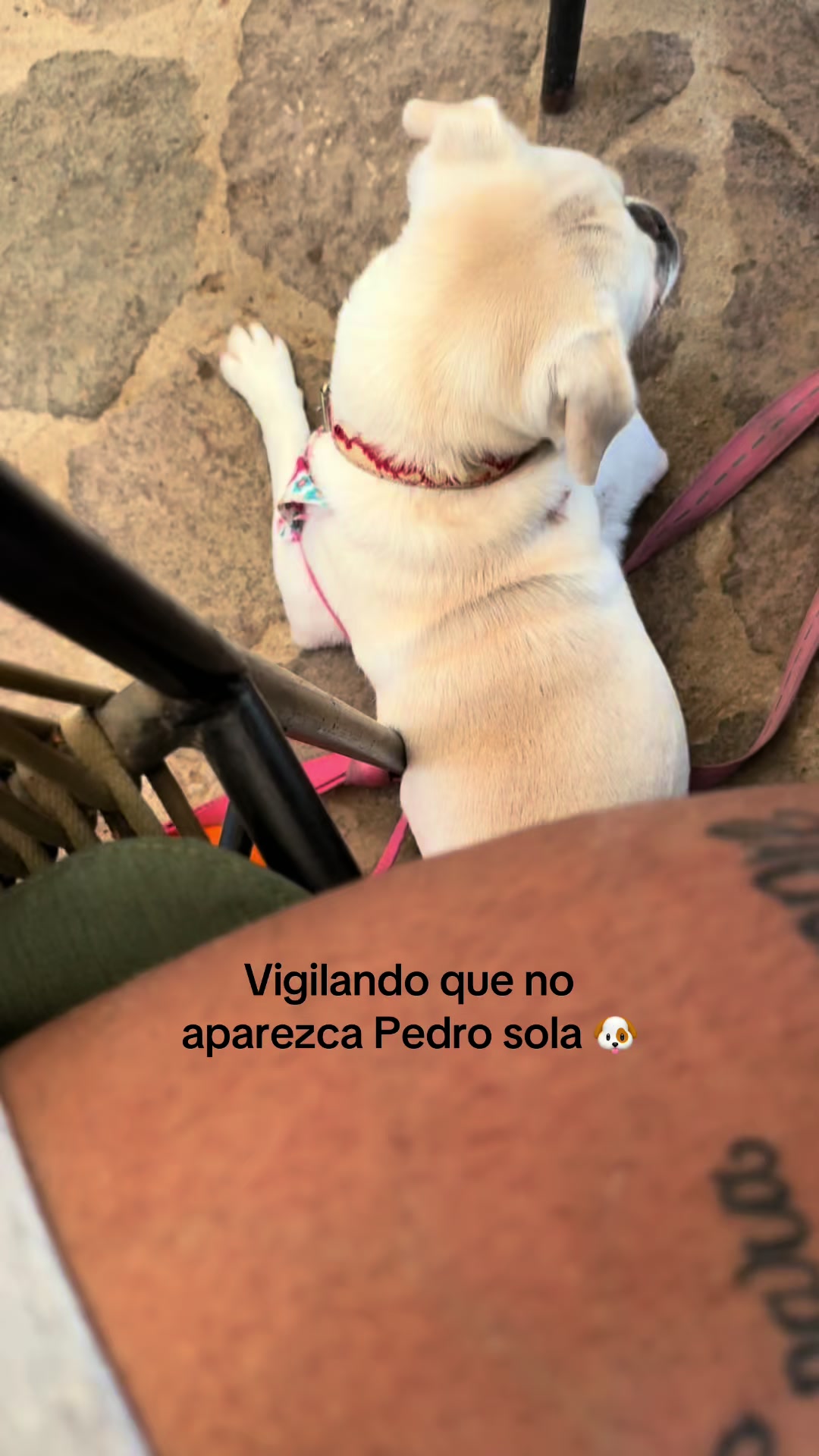@Andrei García