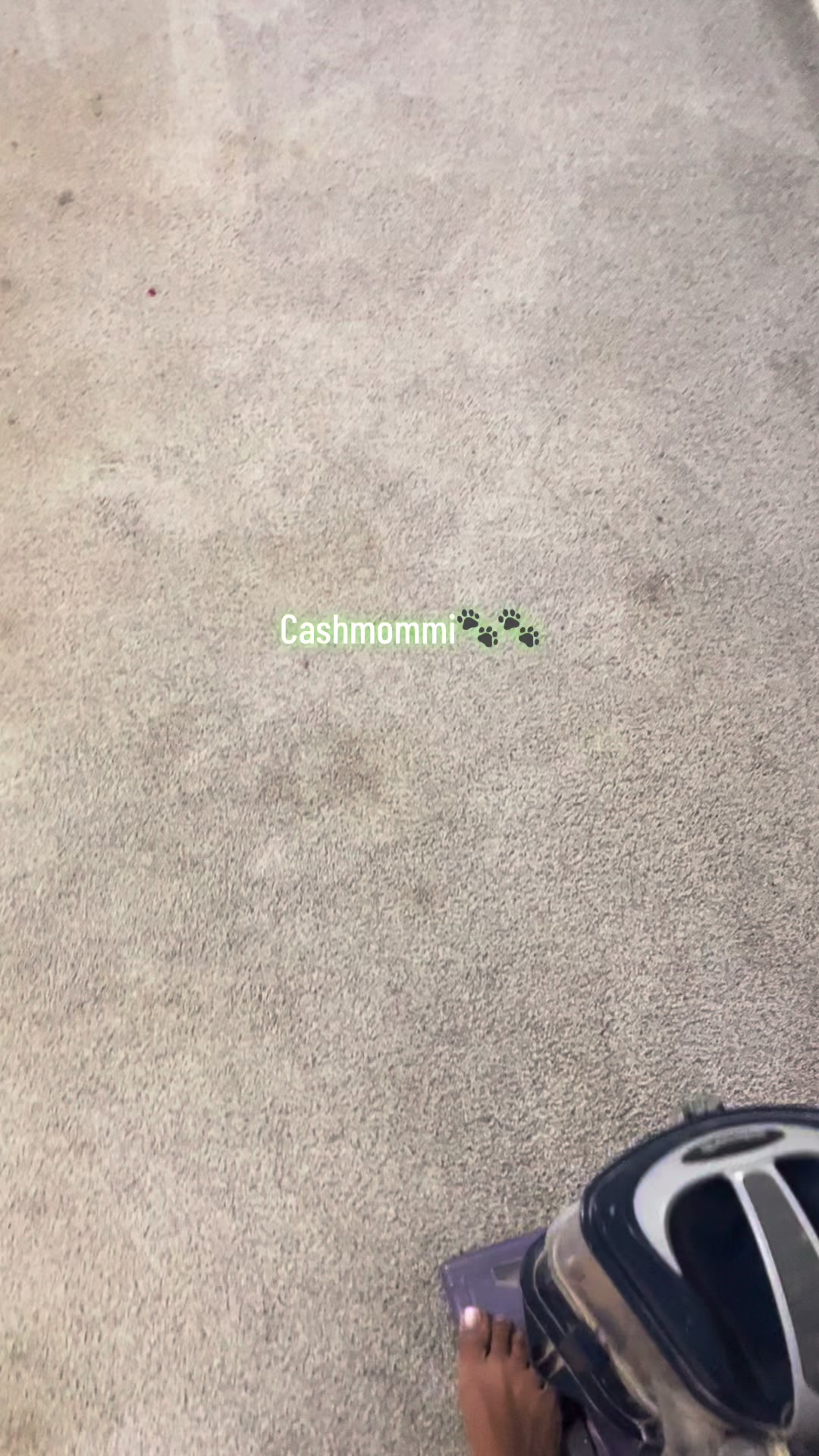 @CashmommiVacs