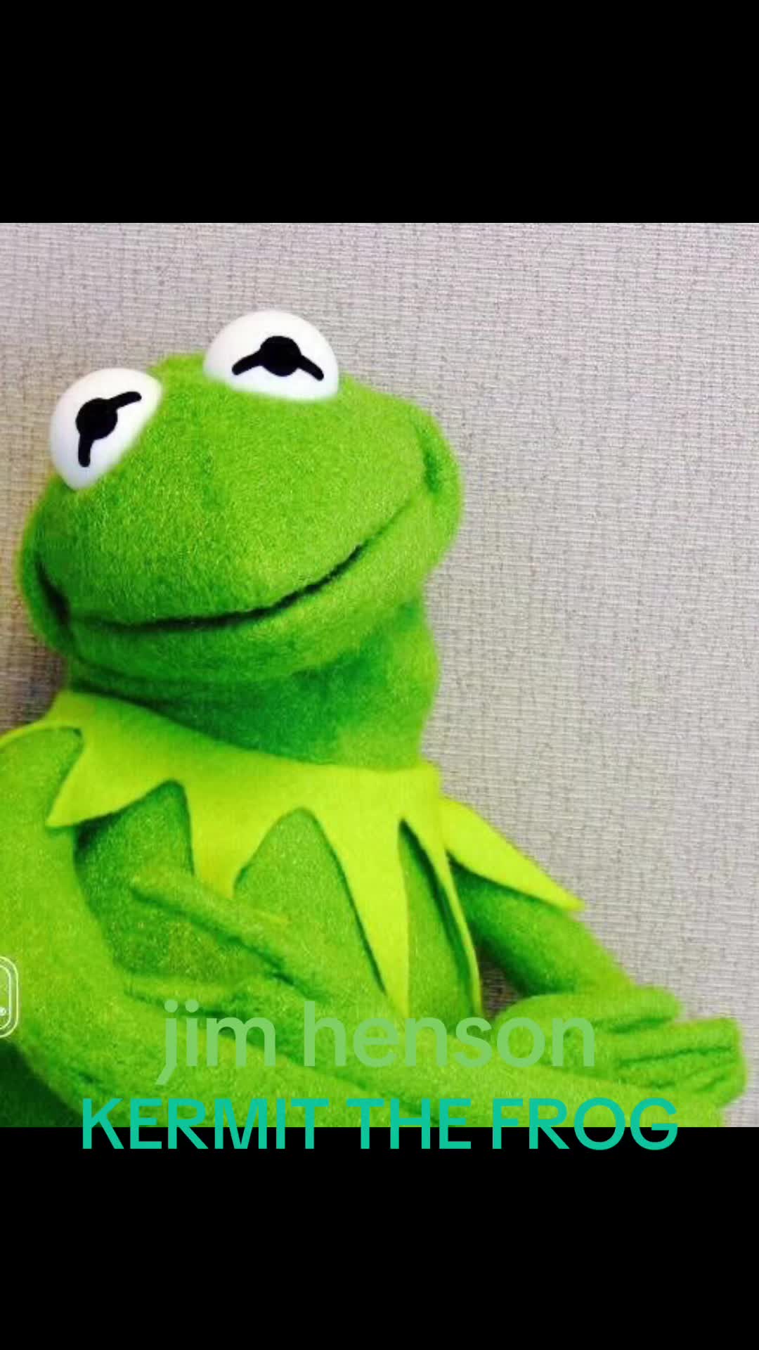 @MISS PIGGY