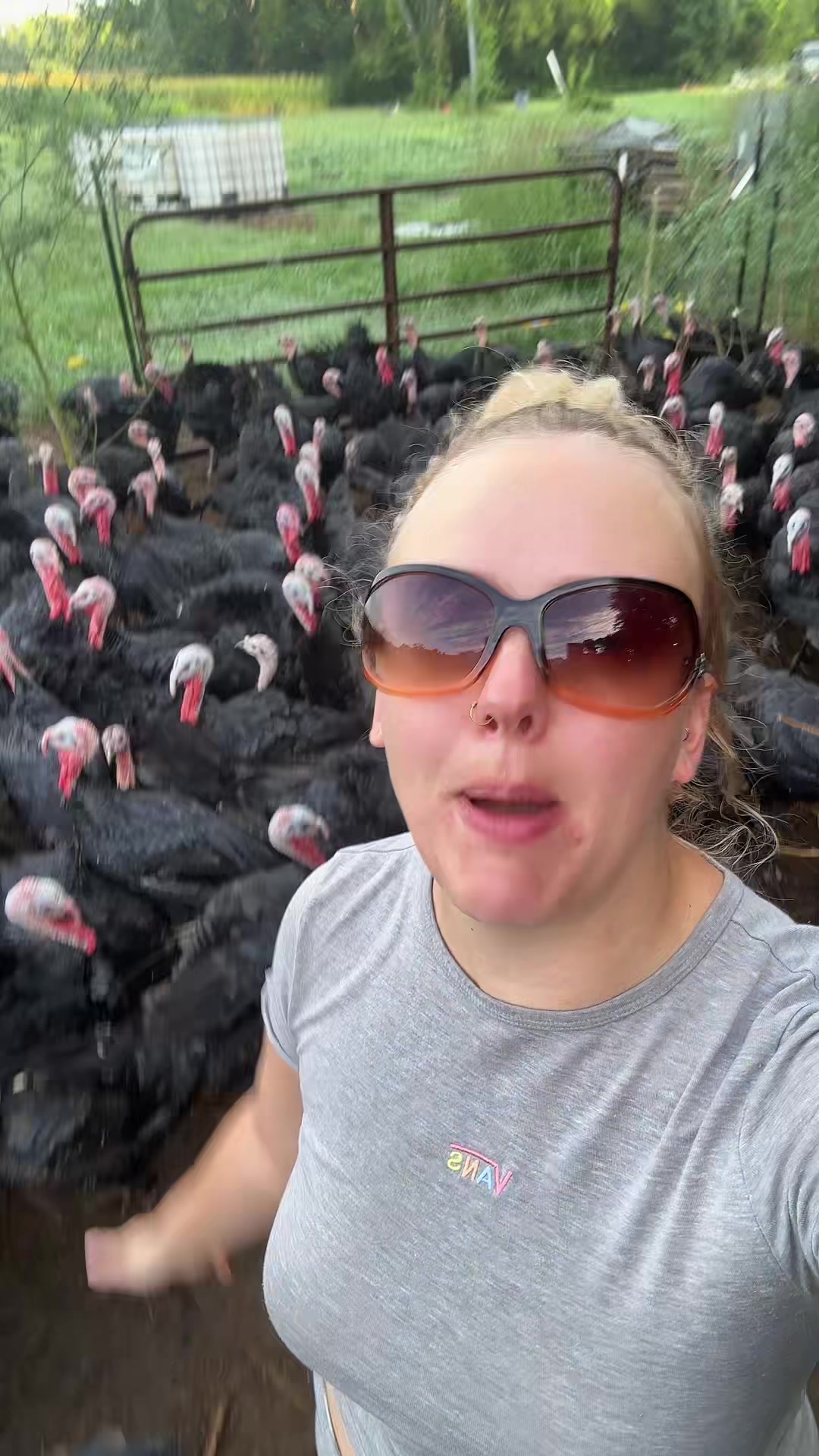 @farmerandtheharpiist
