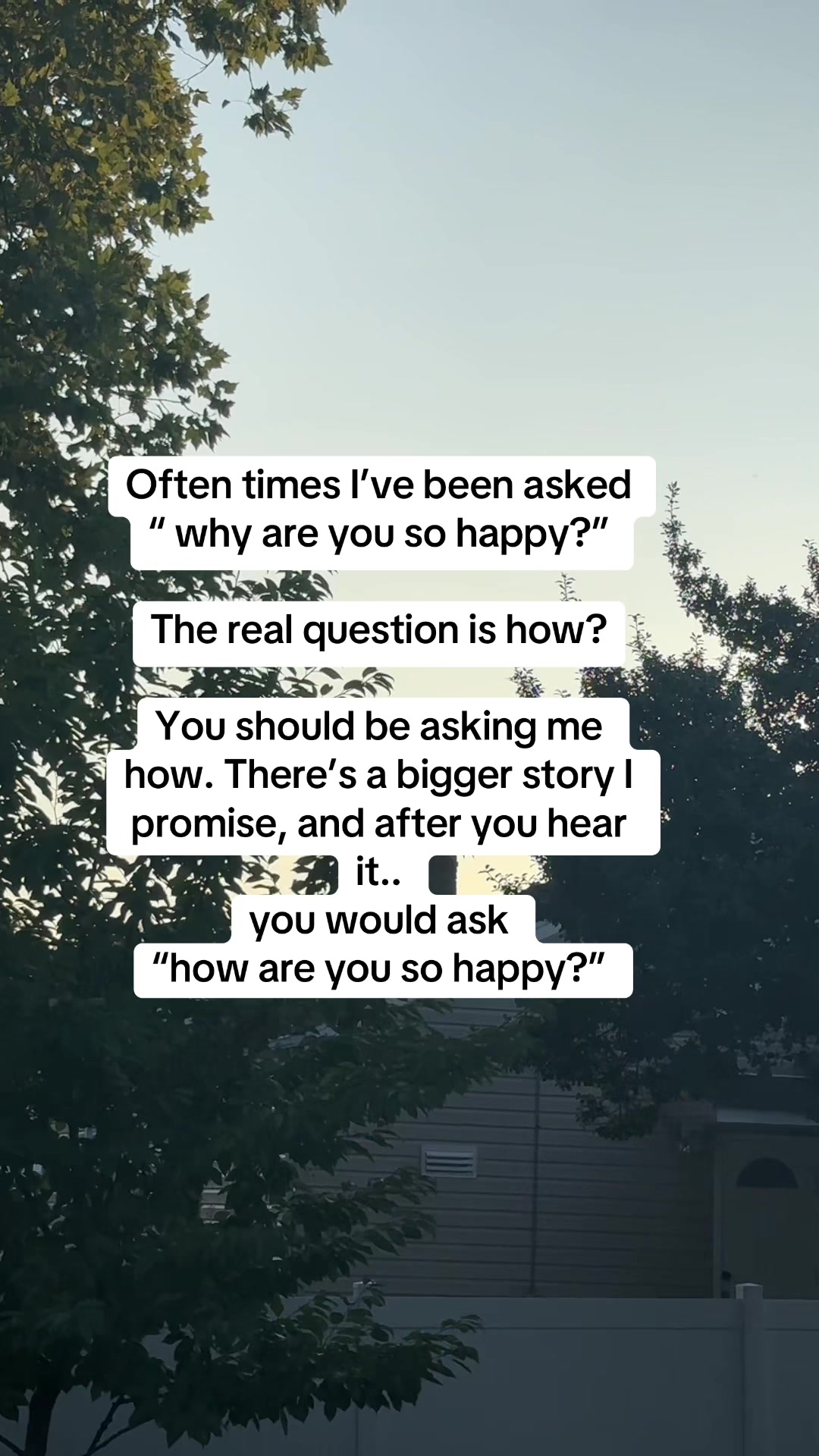@Vanessa Matos
