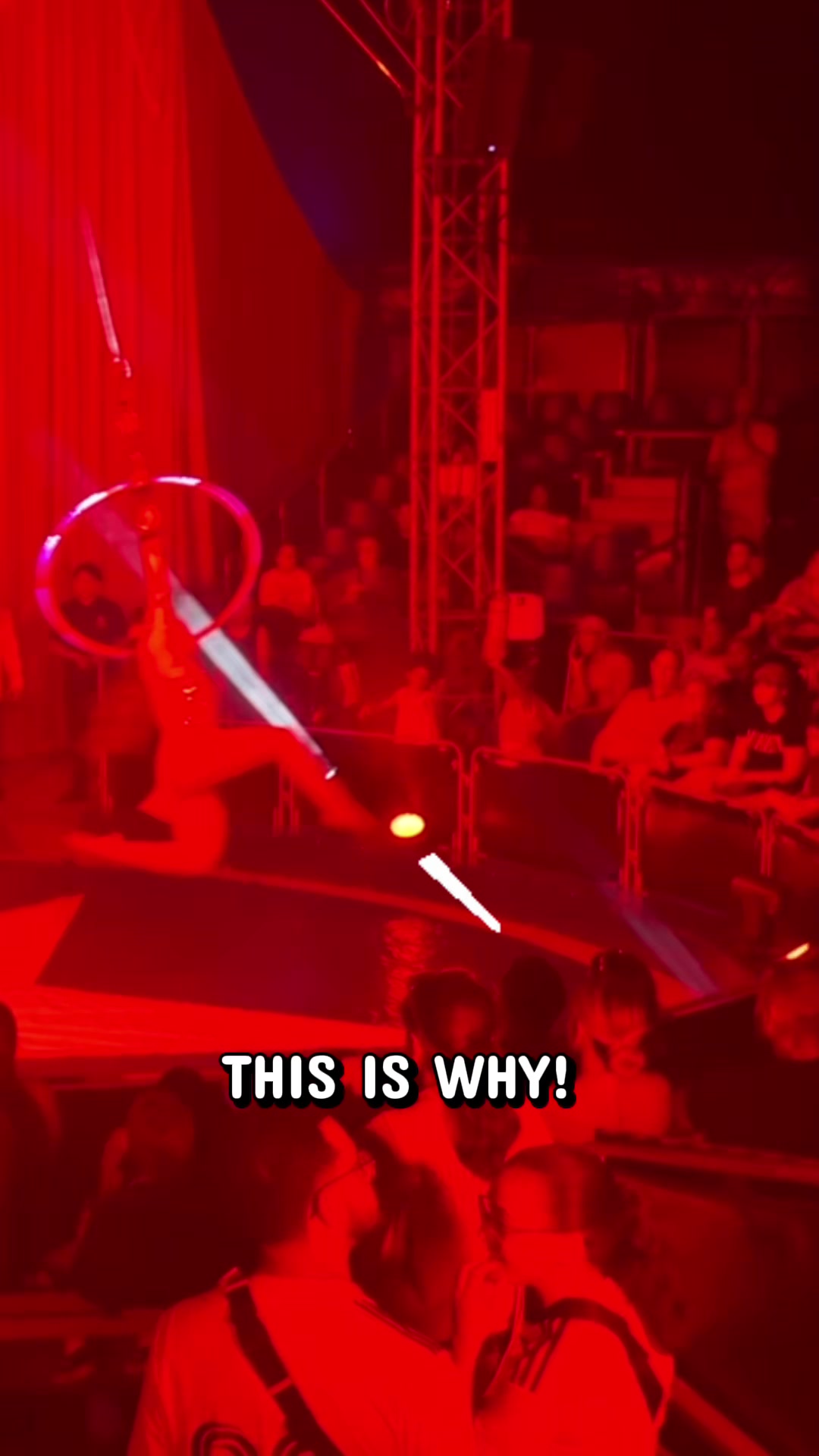 @circus.chloe
