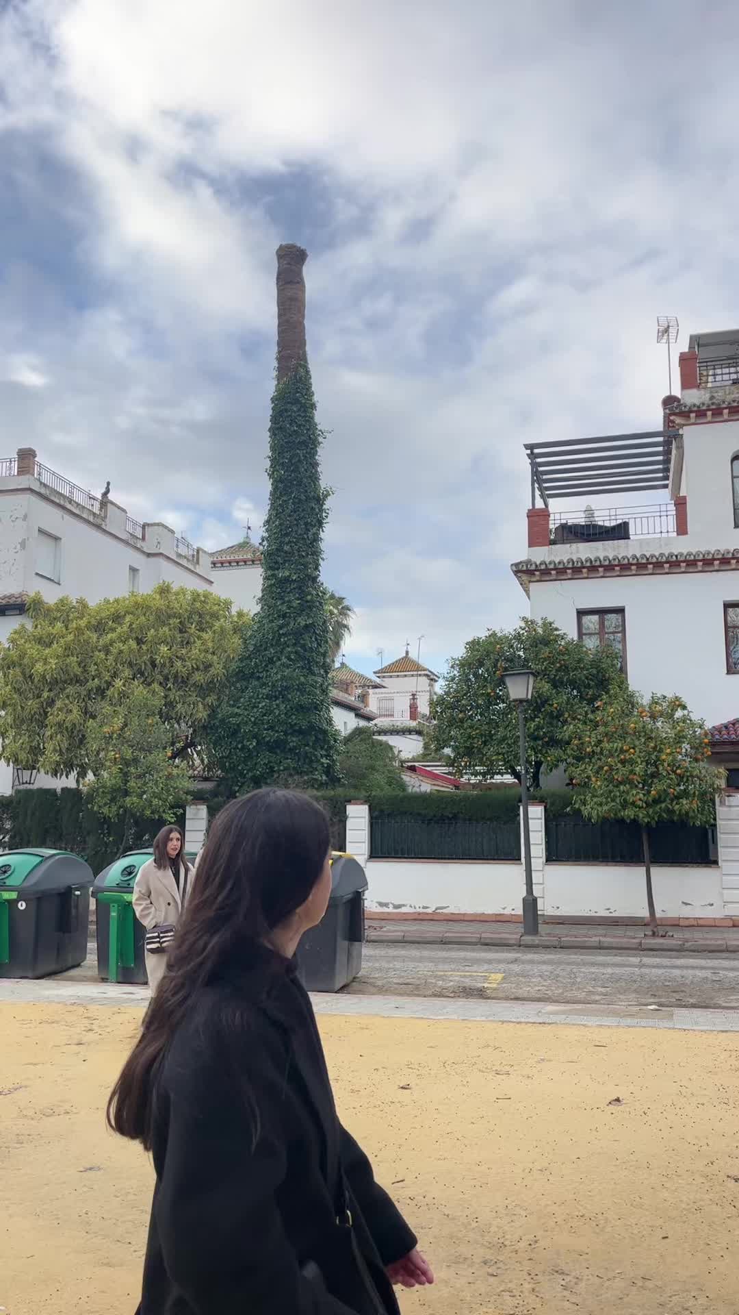@Marinii