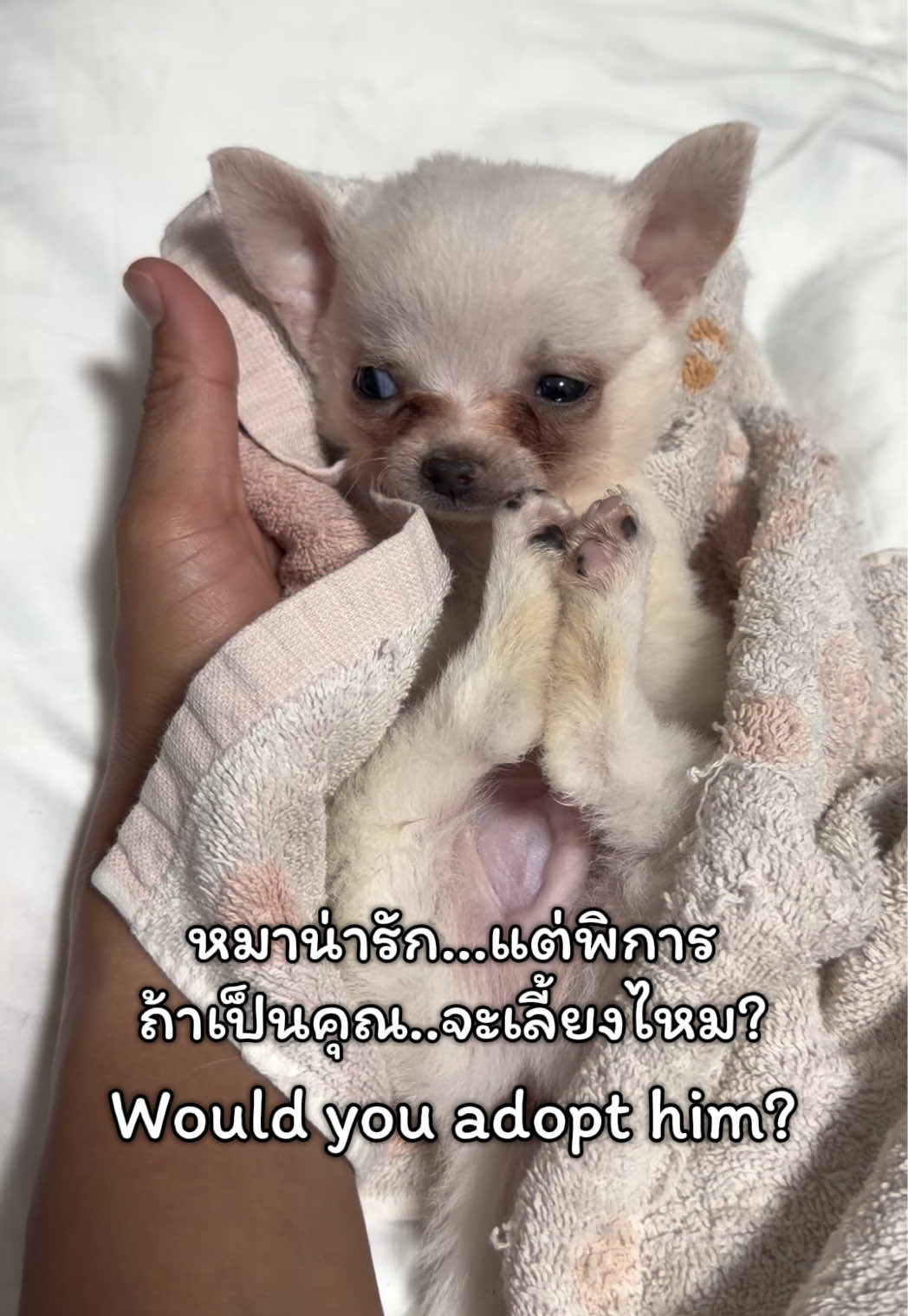@ผมชื่อเฟิร์บ