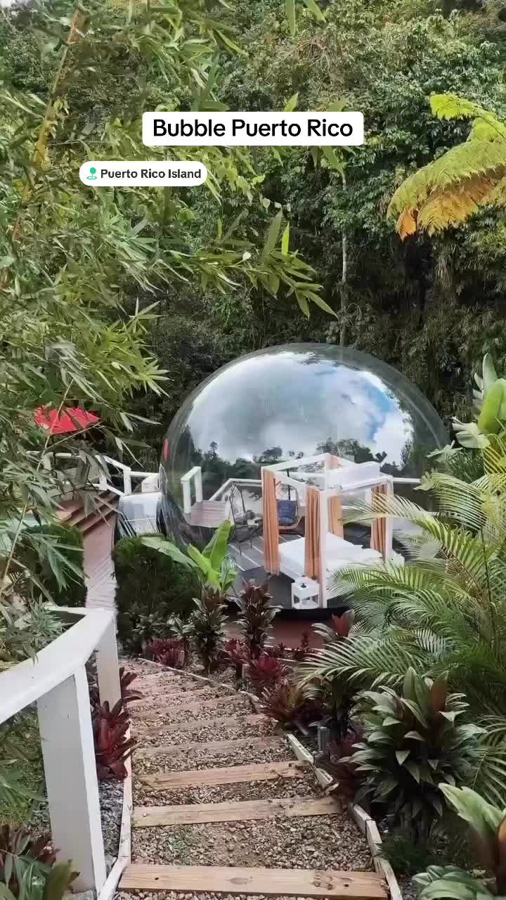 @Bubble Puerto Rico