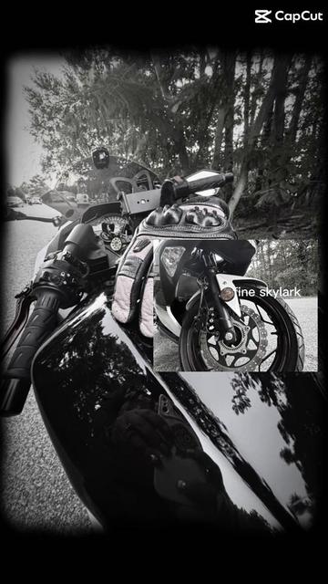 @KawaNinja_444_Sylvester