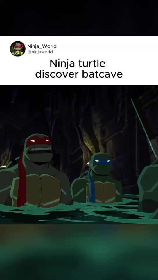 @ninjaworld_4