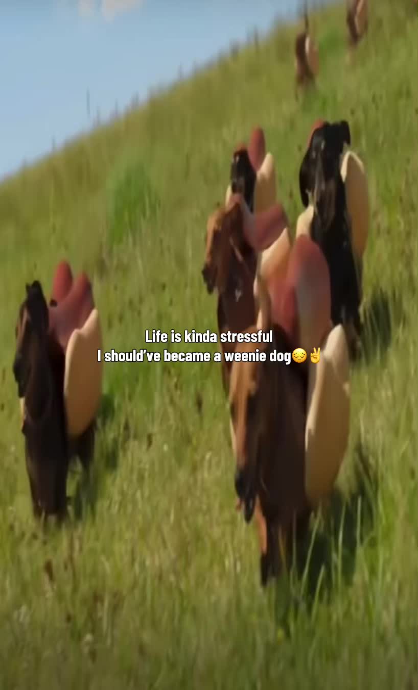 @🪖